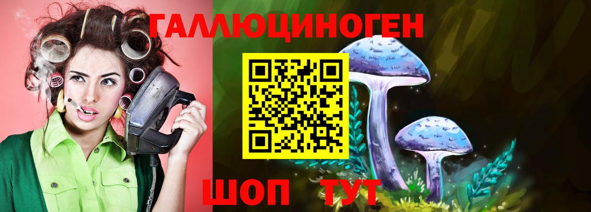 Благодарный  Галлюциногенные грибы GOLDEN TEACHER  Вход с VPN  Галлюциногенные грибы мухоморы 